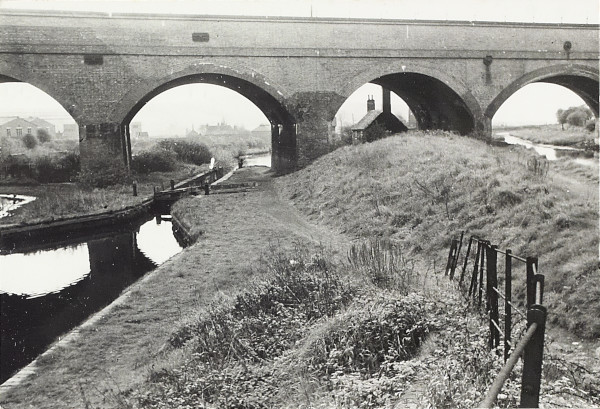 BW200-1-10-27 image BW200-1-10-27