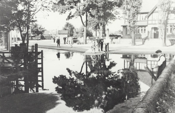 BW192-3-2-1-12-1-27 image BW192-3-2-1-12-1-27