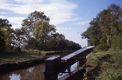 crt-wild-37 image crt-wild-37