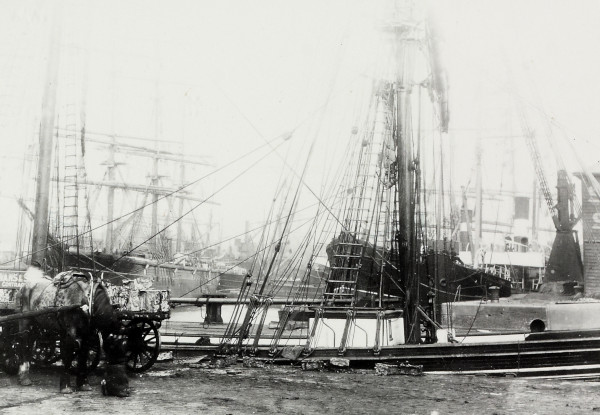 BW192-3-2-2-28-37 image BW192-3-2-2-28-37