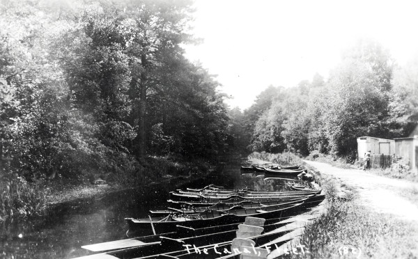 R0137 image R0137