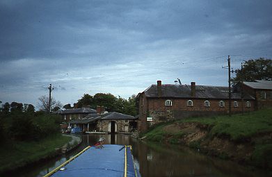 crt-wild-47 image crt-wild-47