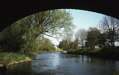 crt-wild-58 image crt-wild-58