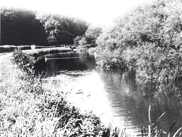 R0347 image R0347