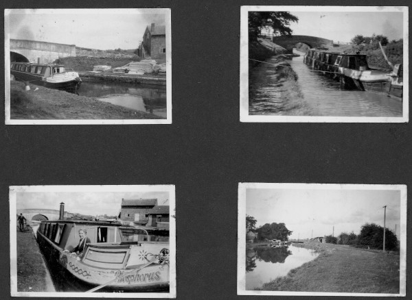 section 2 image section 2
