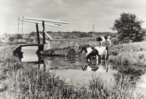 BW192-3-2-1-30-57 image BW192-3-2-1-30-57