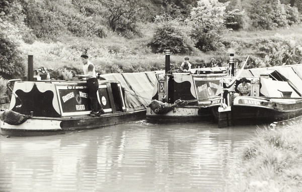 BW200-1-99-57 image BW200-1-99-57