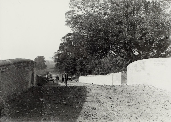 BW192-3-2-2-12-1-157 image BW192-3-2-2-12-1-157