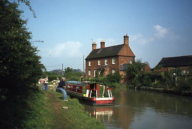 crt_wild_84 image crt_wild_84