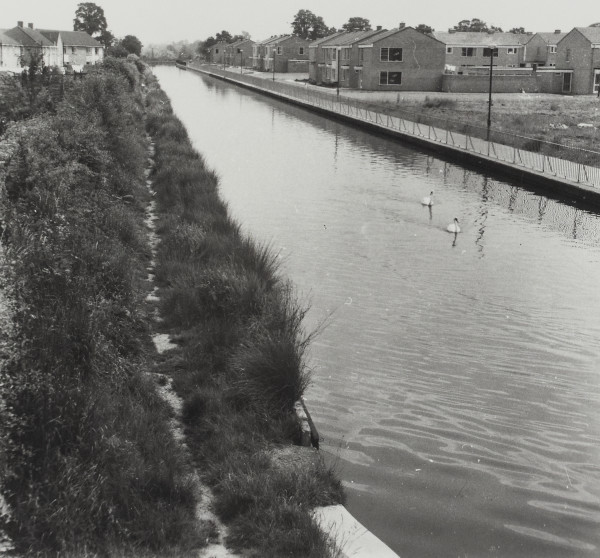 BW192-3-2-2-13-1-187 image BW192-3-2-2-13-1-187