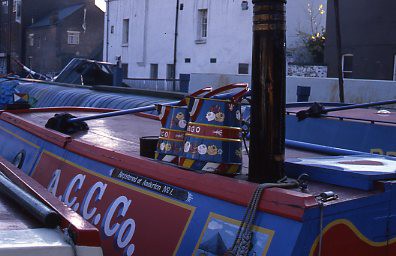 crt_wild_164 image crt_wild_164