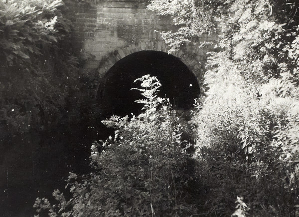 BW200-1-100-8 image BW200-1-100-8