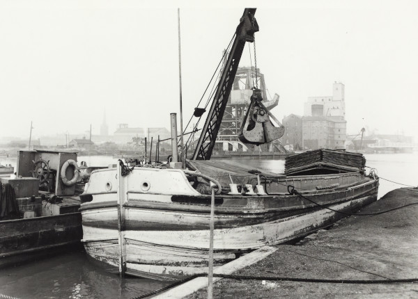 BW192-3-1-34-1-8 image BW192-3-1-34-1-8