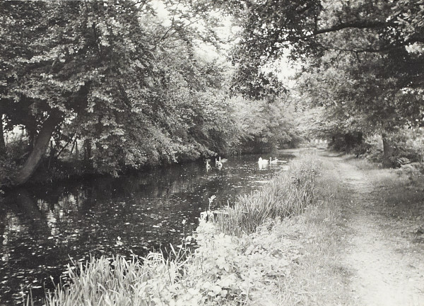 BW200-1-7-22-8 image BW200-1-7-22-8