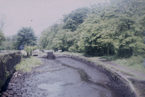 BW197-2-27-3-8 image BW197-2-27-3-8