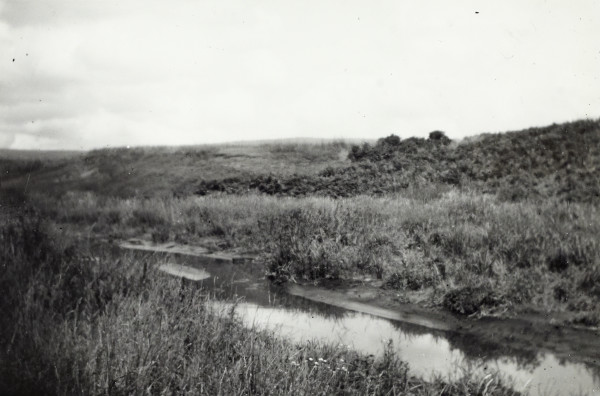 BW192-3-1-29-13-8 image BW192-3-1-29-13-8