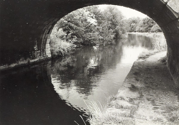 BW200-1-47-23-8 image BW200-1-47-23-8