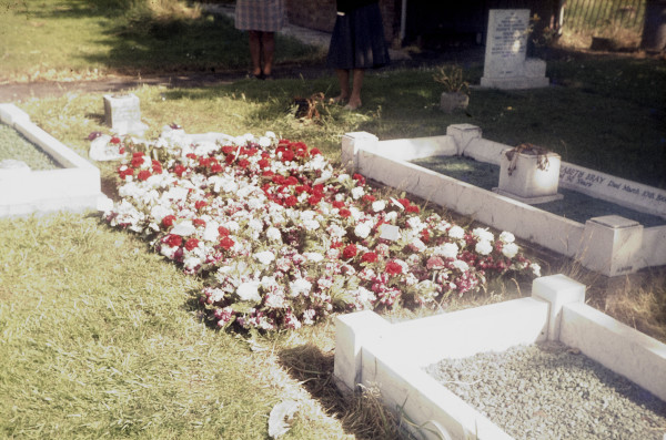 BW197-2-18-24-8 image BW197-2-18-24-8