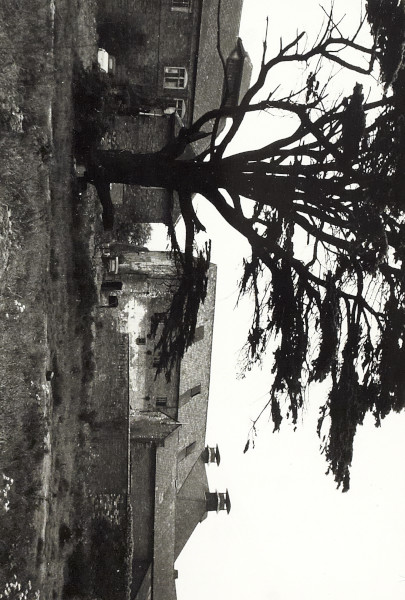 BW200-1-99-66-8 image BW200-1-99-66-8