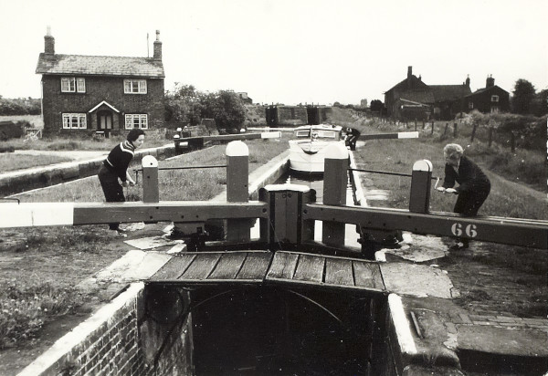 BW200-1-99-76-8 image BW200-1-99-76-8