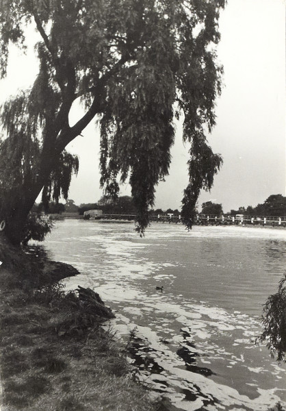 BW200-1-96-8 image BW200-1-96-8