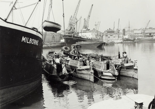 BW192-3-1-34-7-8 image BW192-3-1-34-7-8