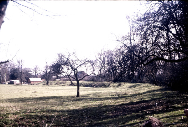 BW197-2-22-17-8 image BW197-2-22-17-8