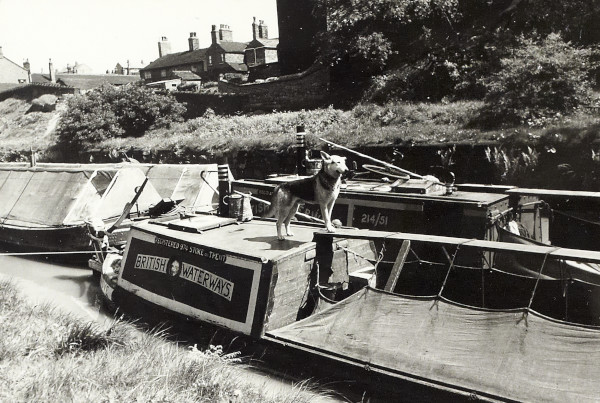 BW200-1-99-57-8 image BW200-1-99-57-8