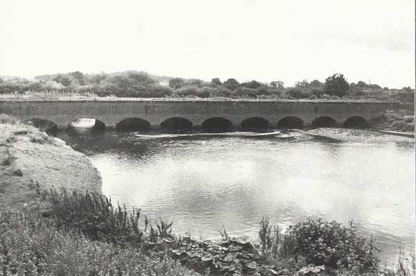 BW200-1-99-98-8 image BW200-1-99-98-8