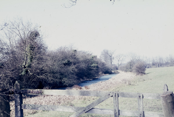 BW197-2-27-9-8 image BW197-2-27-9-8