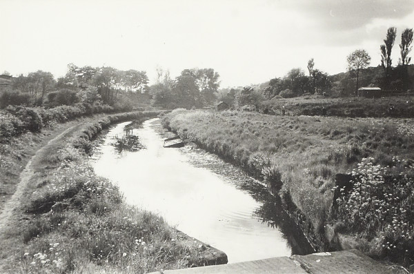 BW200-1-18-9-8 image BW200-1-18-9-8