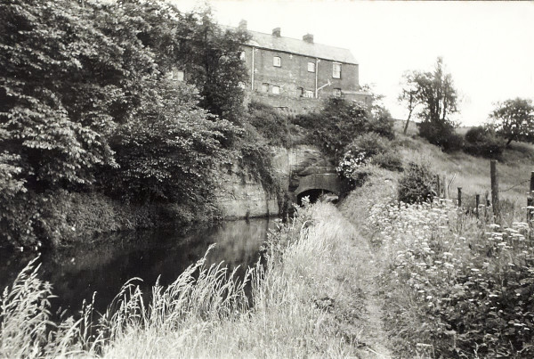 BW200-1-89-29-8 image BW200-1-89-29-8