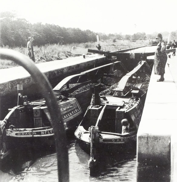 BW192-3-1-2-3-18 image BW192-3-1-2-3-18