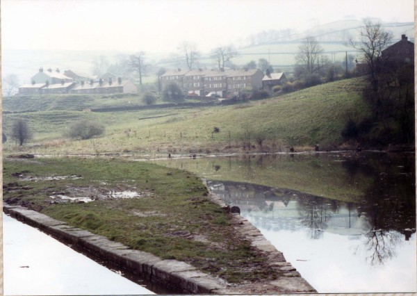 wide_in-water_1983 image wide_in-water_1983