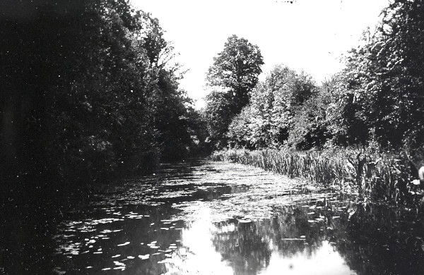 R0218 image R0218