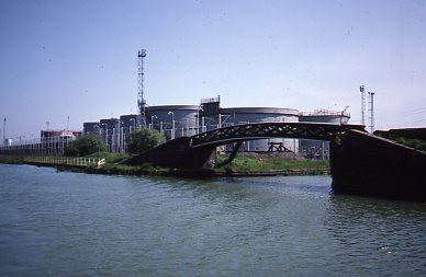 crt_wild_109 image crt_wild_109