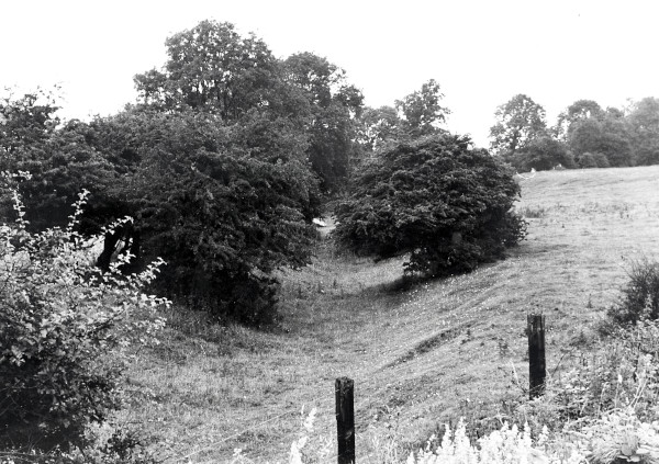 R0418 image R0418