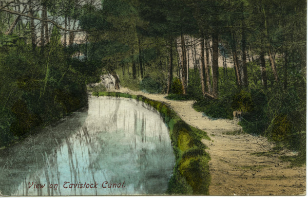 20022_0520 image 20022_0520