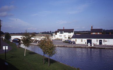 crt-wild-38 image crt-wild-38