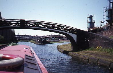 crt_wild_119 image crt_wild_119