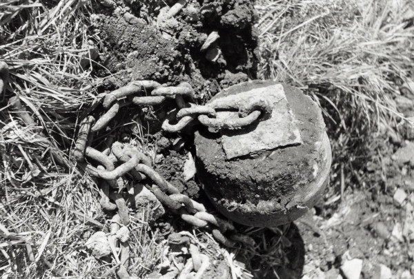BW192-3-2-5-2-38 image BW192-3-2-5-2-38