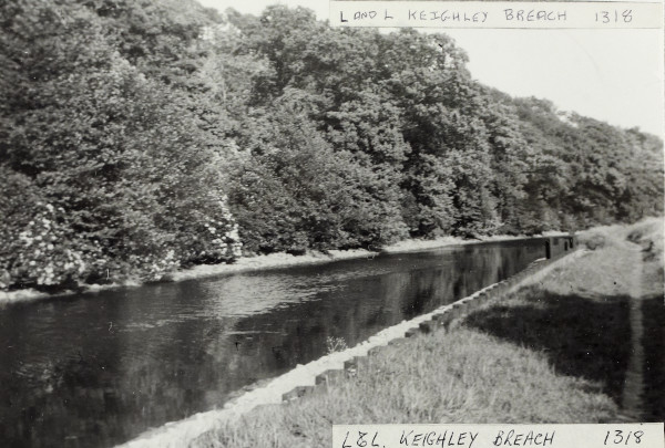 BW192-3-1-29-8-38 image BW192-3-1-29-8-38