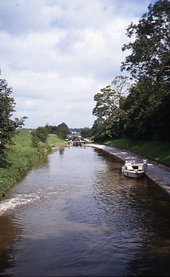 crt_wild_18 image crt_wild_18