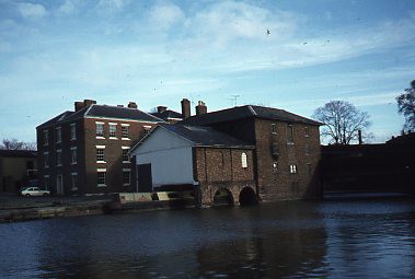 crt-wild-49 image crt-wild-49