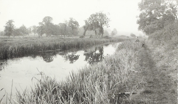 BW200-1-47-48 image BW200-1-47-48