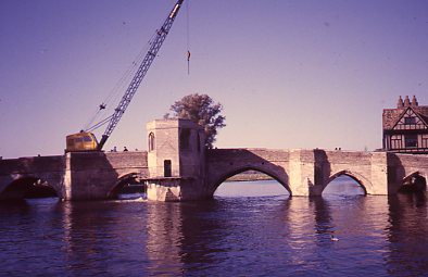 crt-wild-59 image crt-wild-59