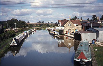 crt_wild_131 image crt_wild_131