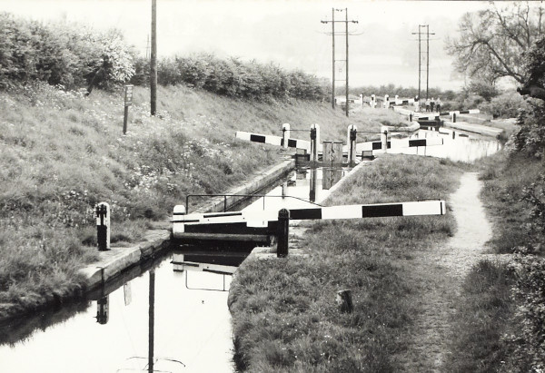 BW200-1-99-68 image BW200-1-99-68