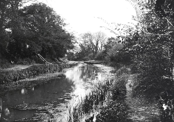 R0168 image R0168