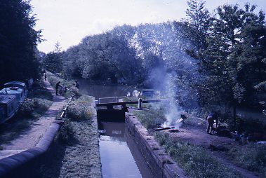 crt_wild_140 image crt_wild_140